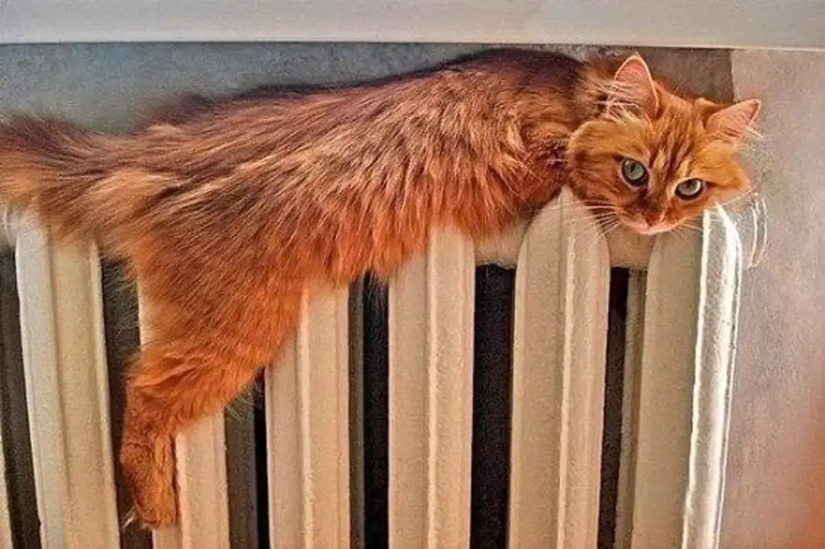 Сколько в Казахстане платят за отопление жители разных городов - новости на Lada.kz 09.11.2025