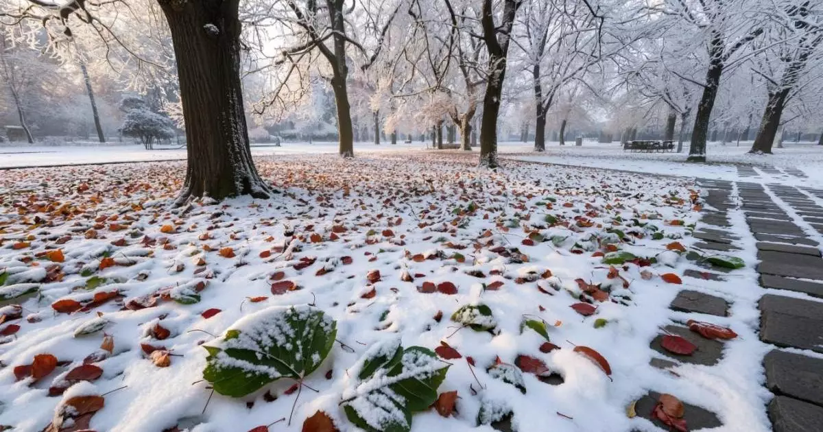 10 қарашаға арналған ауа райы болжамы 