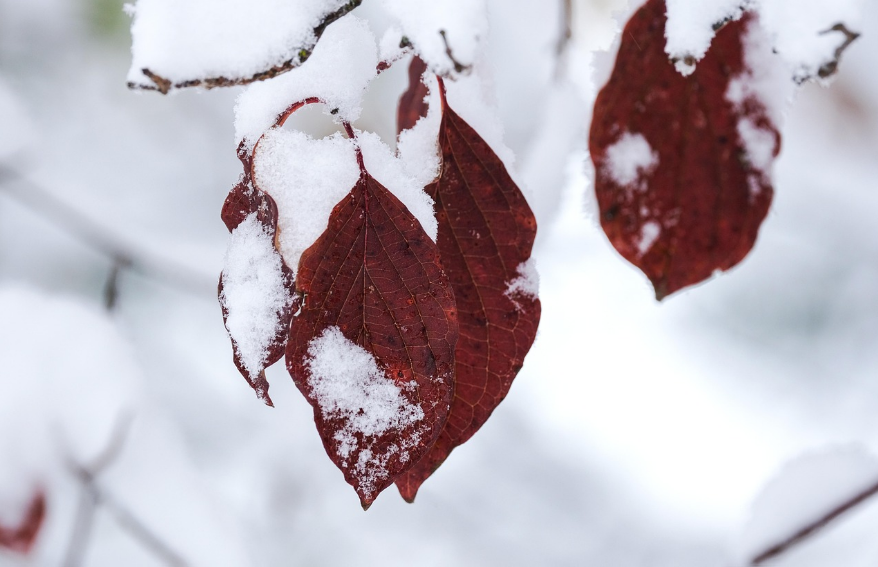Осадки ожидаются в Астане и Шымкенте, в Алматы без осадков
