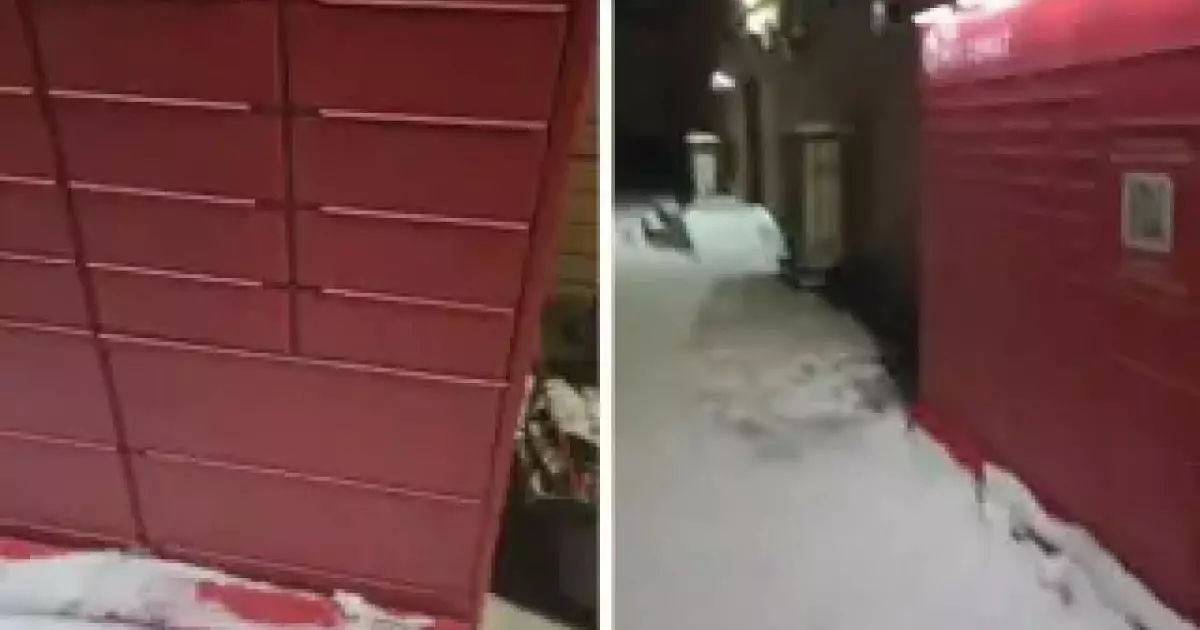  Екібастұзда біреулер мысықты поштоматтың ұяшығына қамап кеткен 