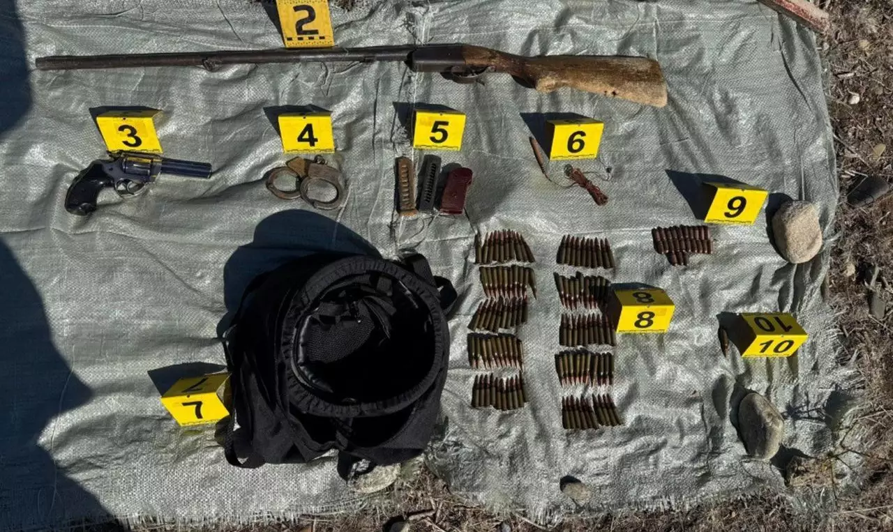 40 единиц незаконного оружия изъяли за месяц в Казахстане
