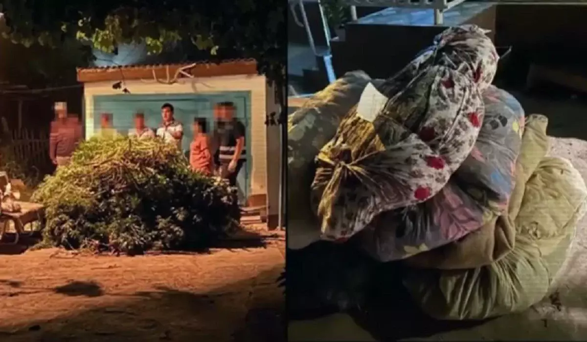 Қазақстанда бес айда ондаған тонна есірткі табылды – ҚР ІІМ