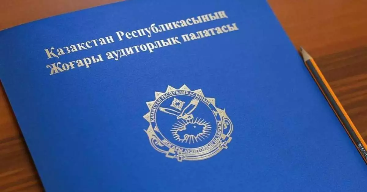  Аудиторлық тексеріс: ауыл шаруашылығы саласының 28 қызметкері жазаланды 