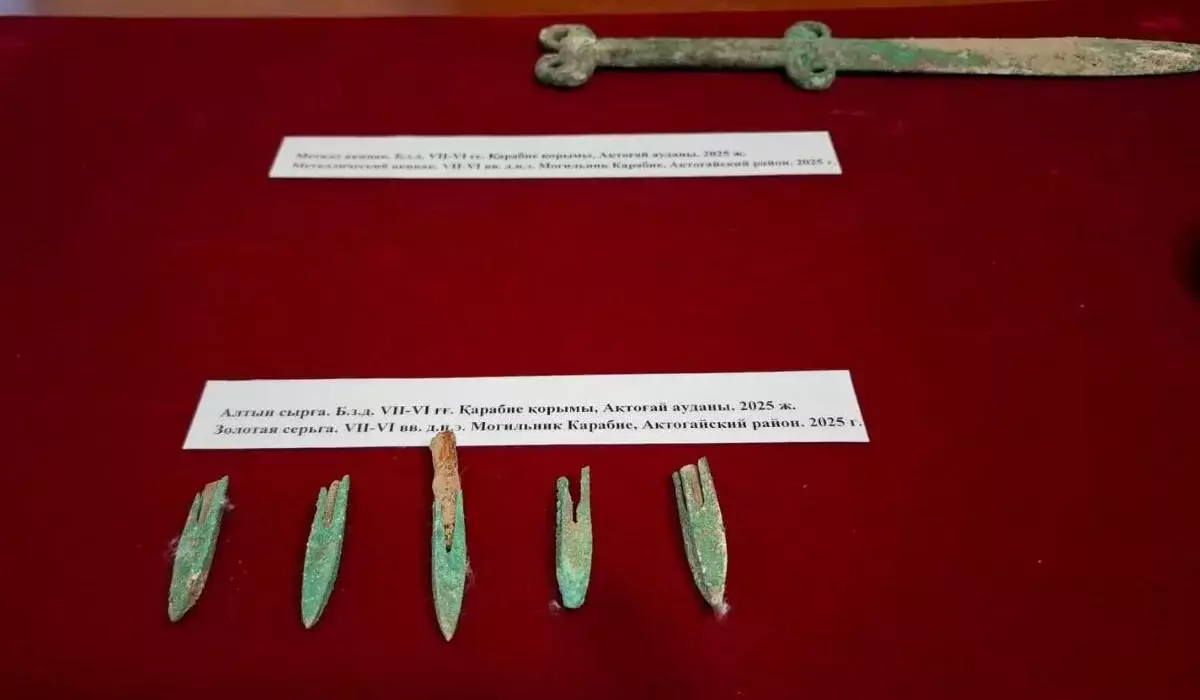 Нетронутое погребение сакского воина нашли в Карагандинской области (ФОТО)