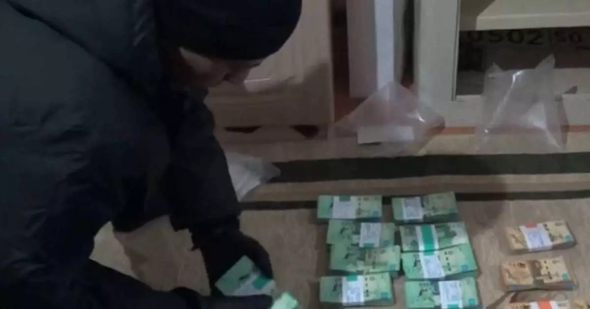  Жалған құжатпен 254 млн теңгеге балық экспорттаған кәсіпорын басшылары сотталды 