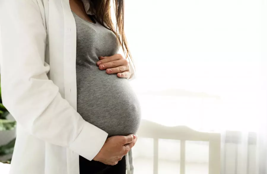 217 млн теңге: Шымкентте жүкті әйелдердің атына заңсыз әлеуметтік төлем рәсімделген 