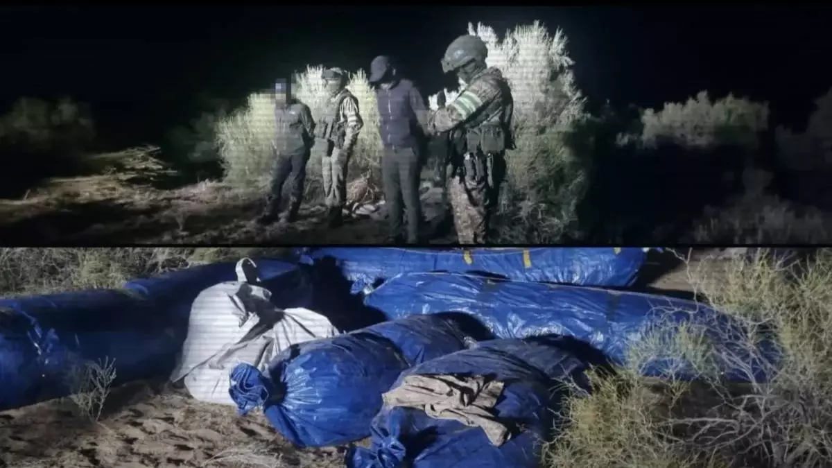 Заңсыз айналымнан 27 тонна есірткі тәркіленді — ІІМ