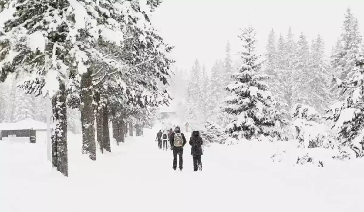 Тұман, көктайғақ, боран: Қазақстанның басым бөлігінде күн суытады