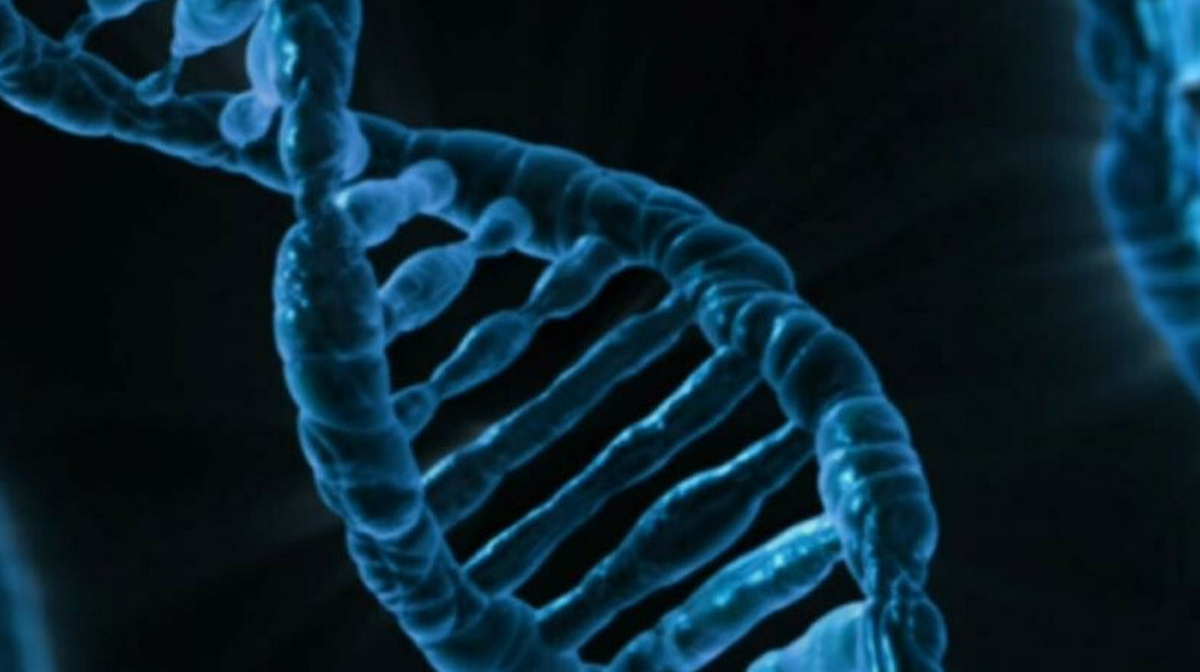 В Астане раскрыто жестокое убийство с помощью ДНК-экспертизы