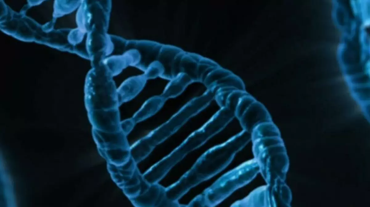 В Астане раскрыто жестокое убийство с помощью ДНК-экспертизы