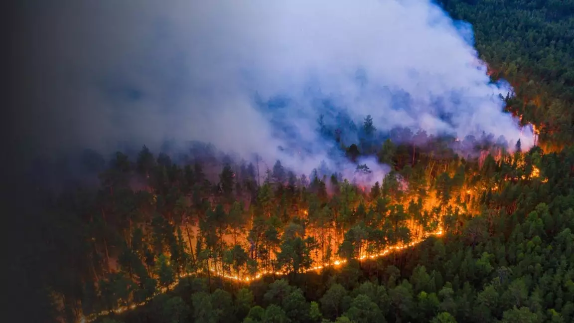 Қазақстанда жыл басынан бері 600-ден астам орман өрті тіркелген