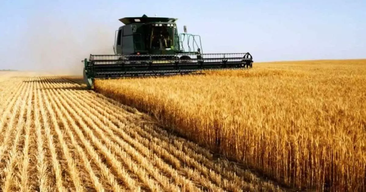  Кәсіпкерлікті қолдауға бөлінген 2.2 трлн теңге қалай игеріліп жатыр? 