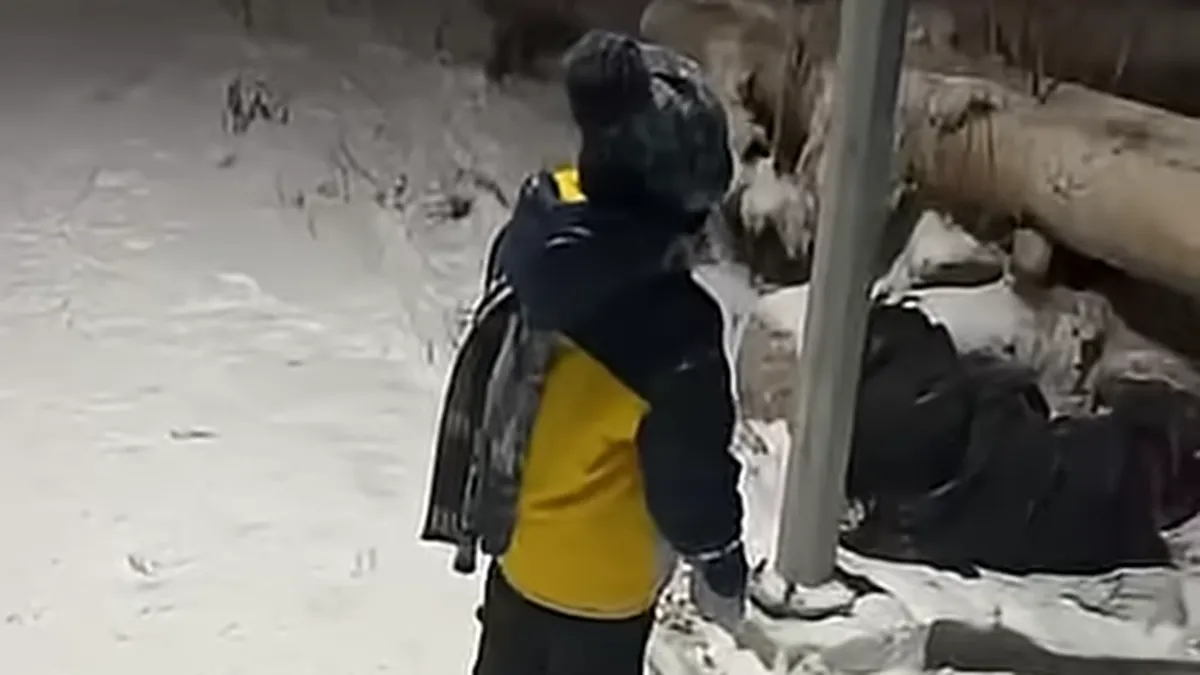 Қарағандыда анасы мен баласын қағып қашып кеткен жүргізуші ұсталды