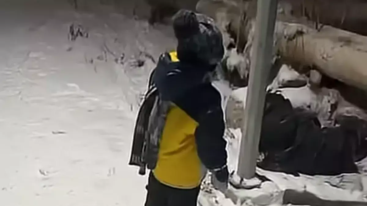 Қарағандыда анасы мен баласын қағып қашып кеткен жүргізуші ұсталды