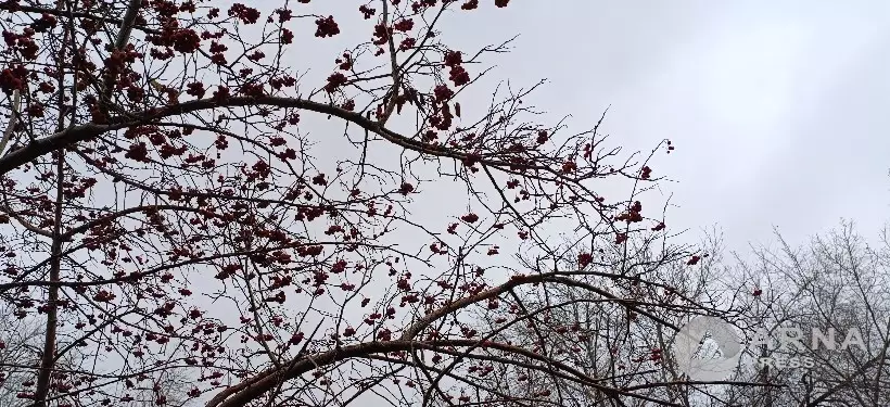 Дожди, снег и гололед: штормовое предупреждение в ряде регионов Казахстана