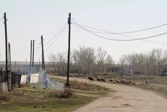 Сельские регионы должны развиваться наравне с промышленными центрами - Жумангарин