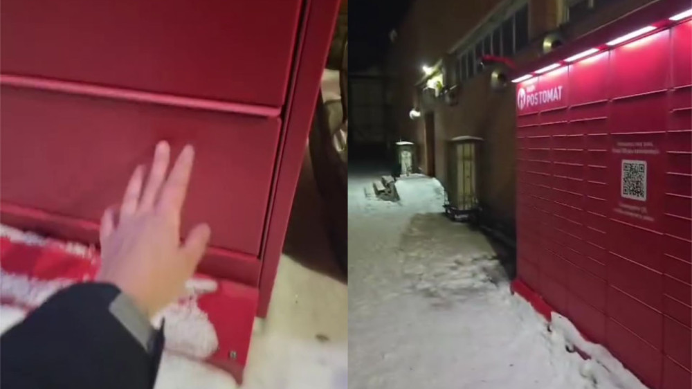 Кот в уличном постамате Экибастуза: банк объяснил, что произошло