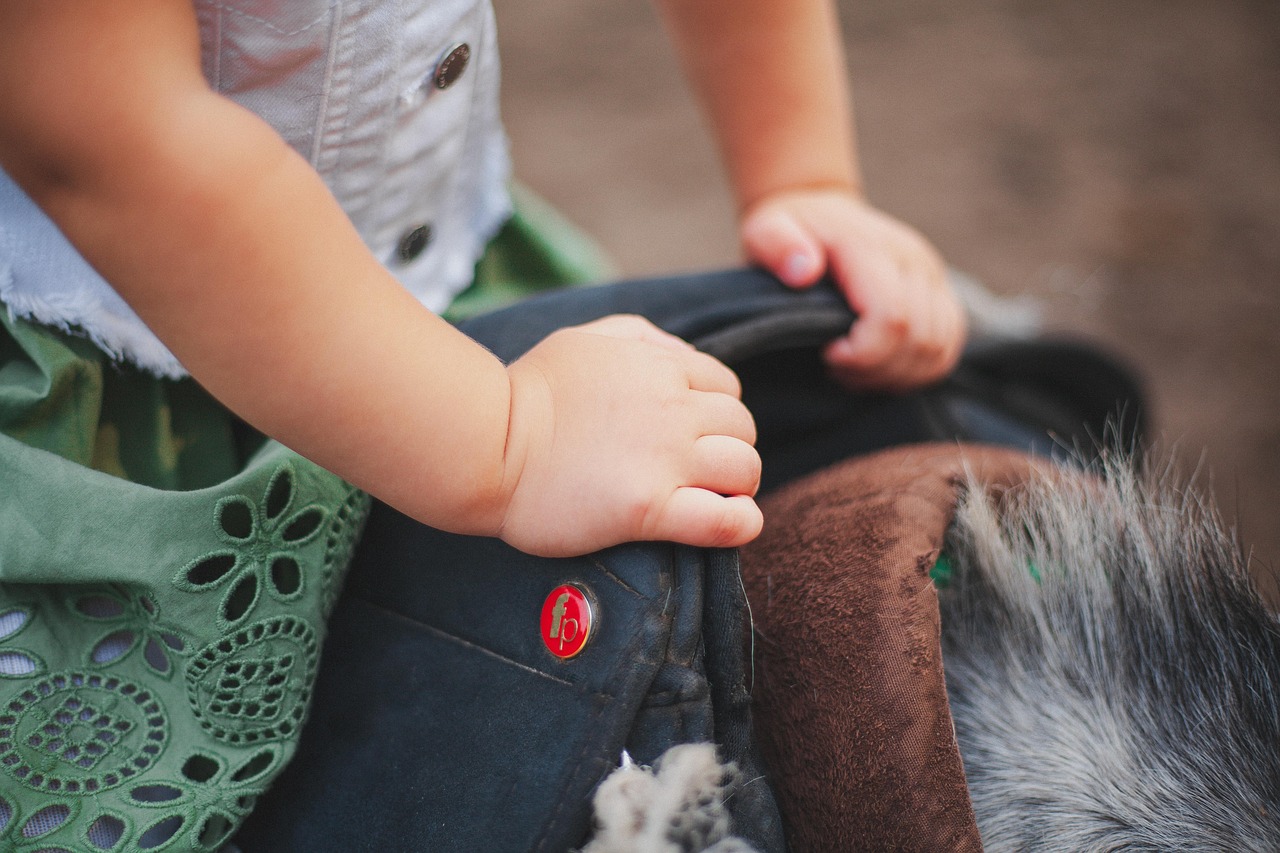 Алматинский ипподром требуют передать в госсобственность