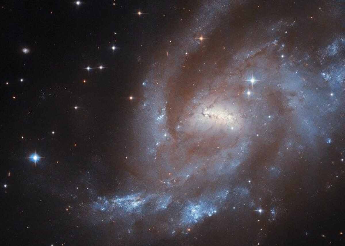 Гороскоп на вторник 11 ноября: день ясности и верных решений