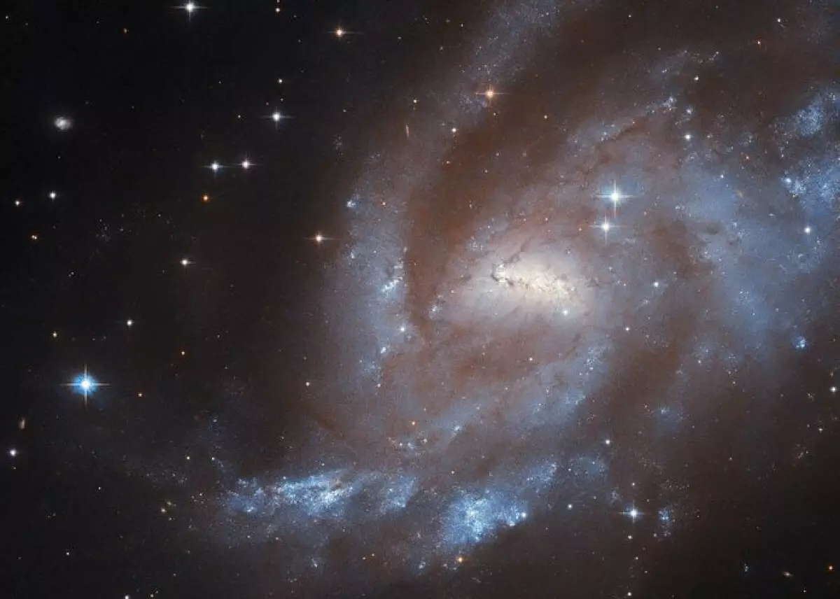 Гороскоп на вторник 11 ноября: день ясности и верных решений