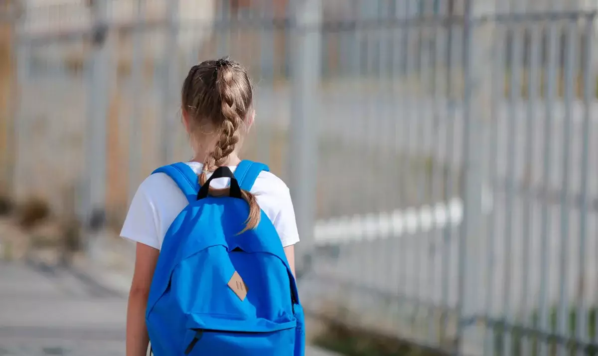 Мужчина предлагал школьнице поехать с ним за 300 тысяч тенге в Алматы (ВИДЕО)