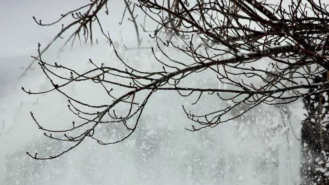 Қар, тұман және көктайғақ: 15 өңірде дауылды ескерту жарияланды