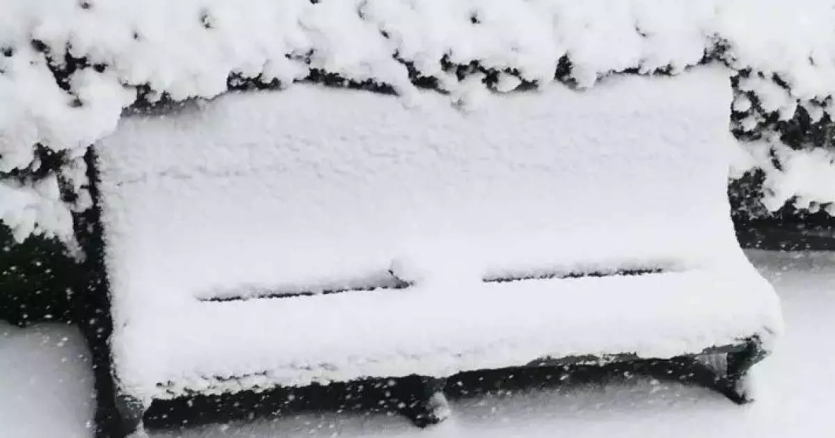  11 қараша ауа райы қандай болатыны жарияланды 