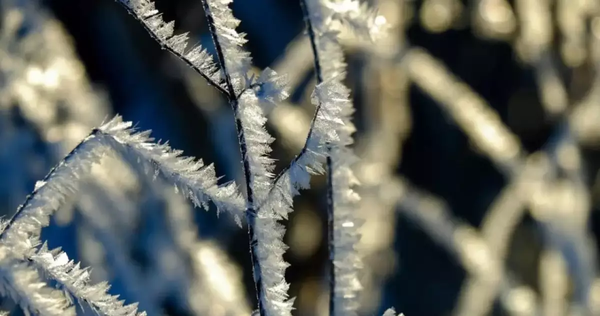 Жұмысқа қалай киіну керек - синоптиктер ауа райы болжамын ұсынды