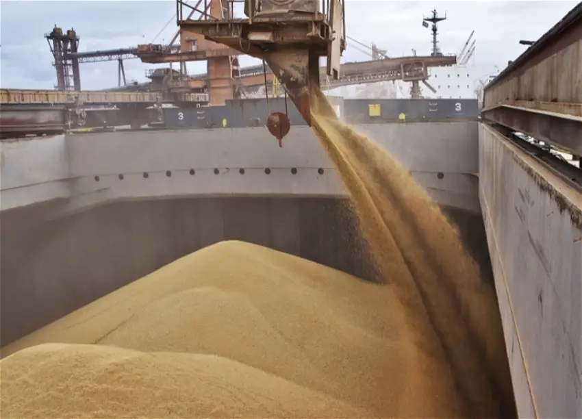 Казахстан готов поставлять Армении до 20 000 тонн зерна в месяц.