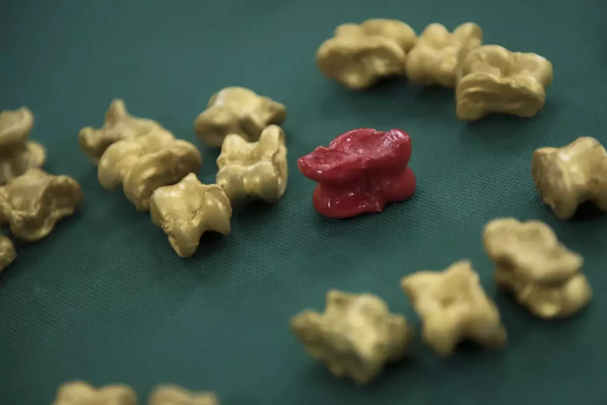 В Туркестане стартовал чемпионат Азии по асық ату