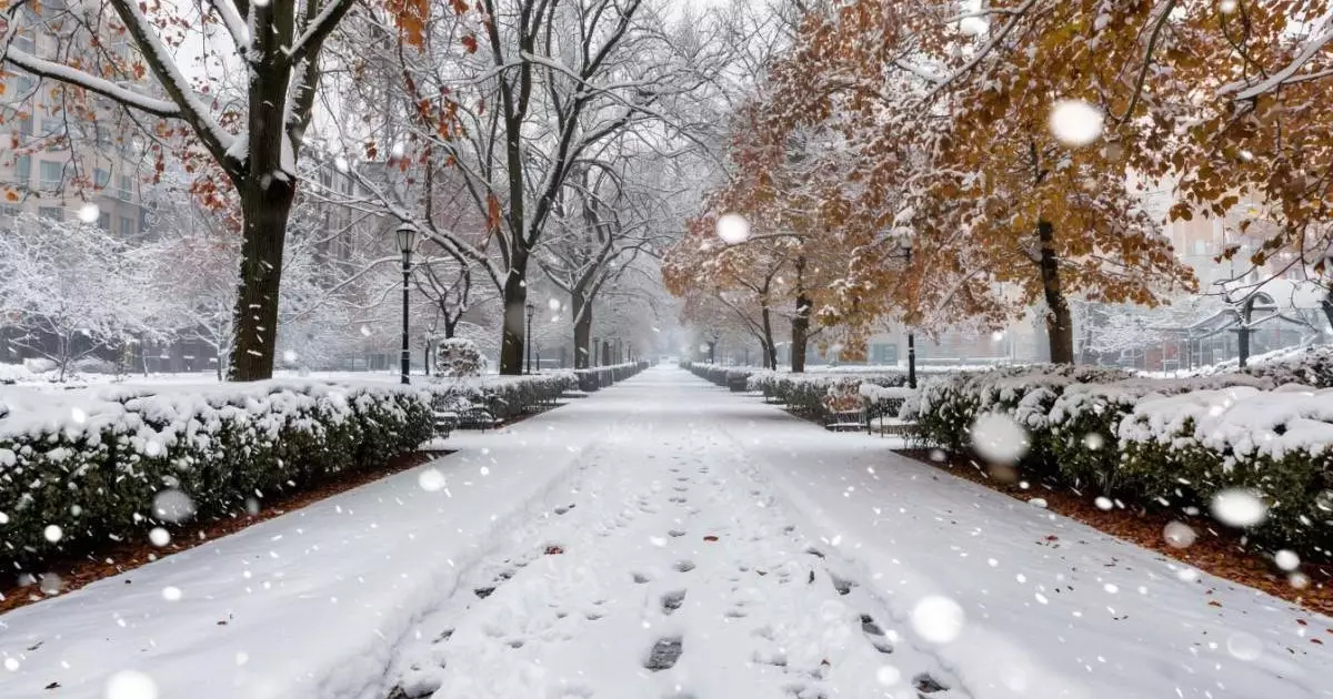  Қар, жаңбыр, көктайғақ. 11 қарашаға арналған ауа райы болжамы 