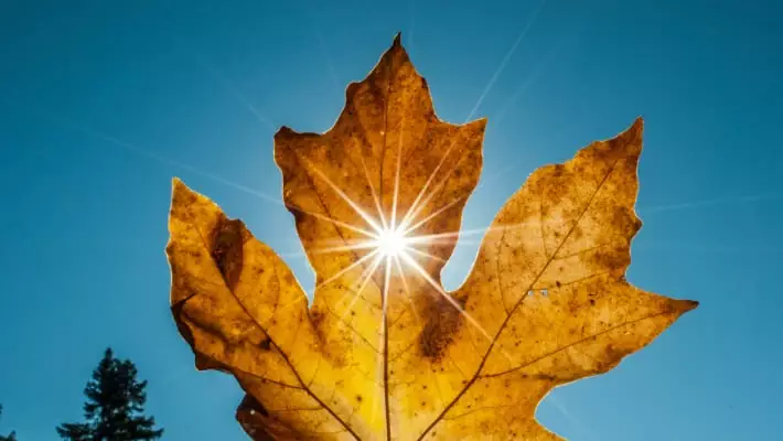 Октябрь в Узбекистане стал одним из самых сухих за историю наблюдений