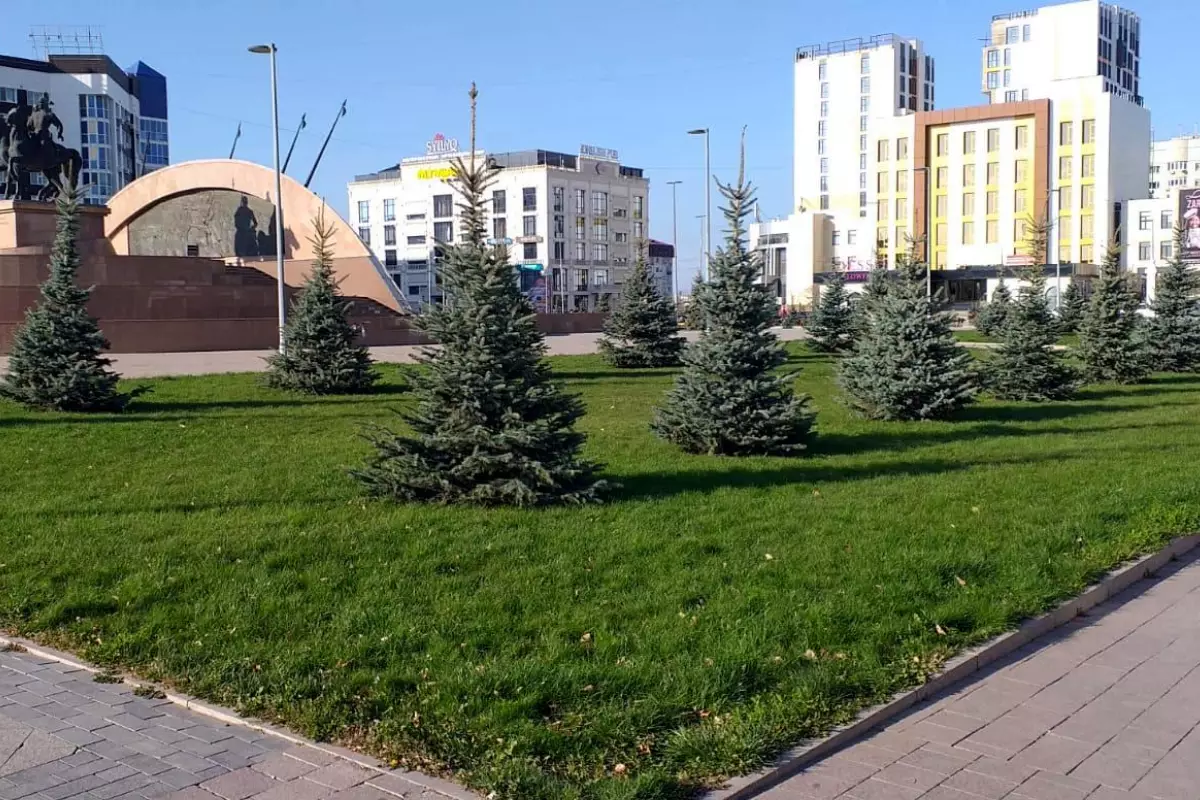 Атырау делает ставку на хвойные. Приживутся ли?