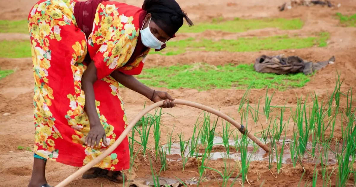   Жасанды интеллект 10 миллион отбасын бір жыл қамтамасыз ететін көлемде су тұтынады   