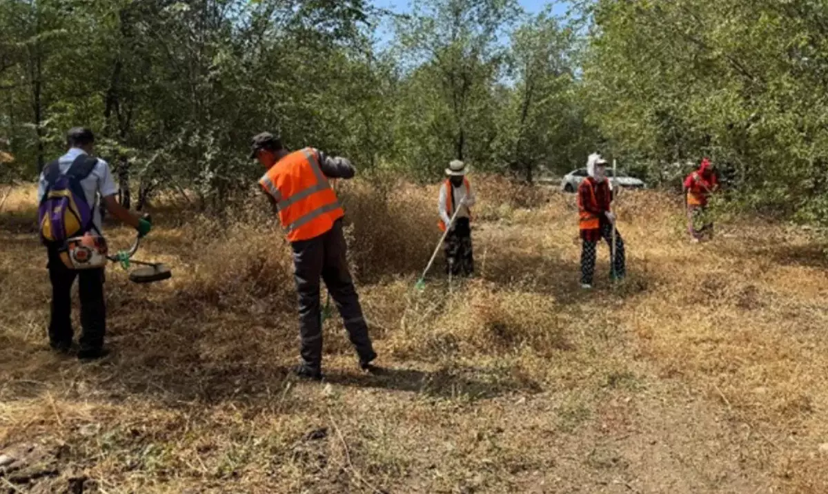 «Таза Қазақстан»: более 6 тыс. м³ мусора убрано в Жетысуском районе Алматы