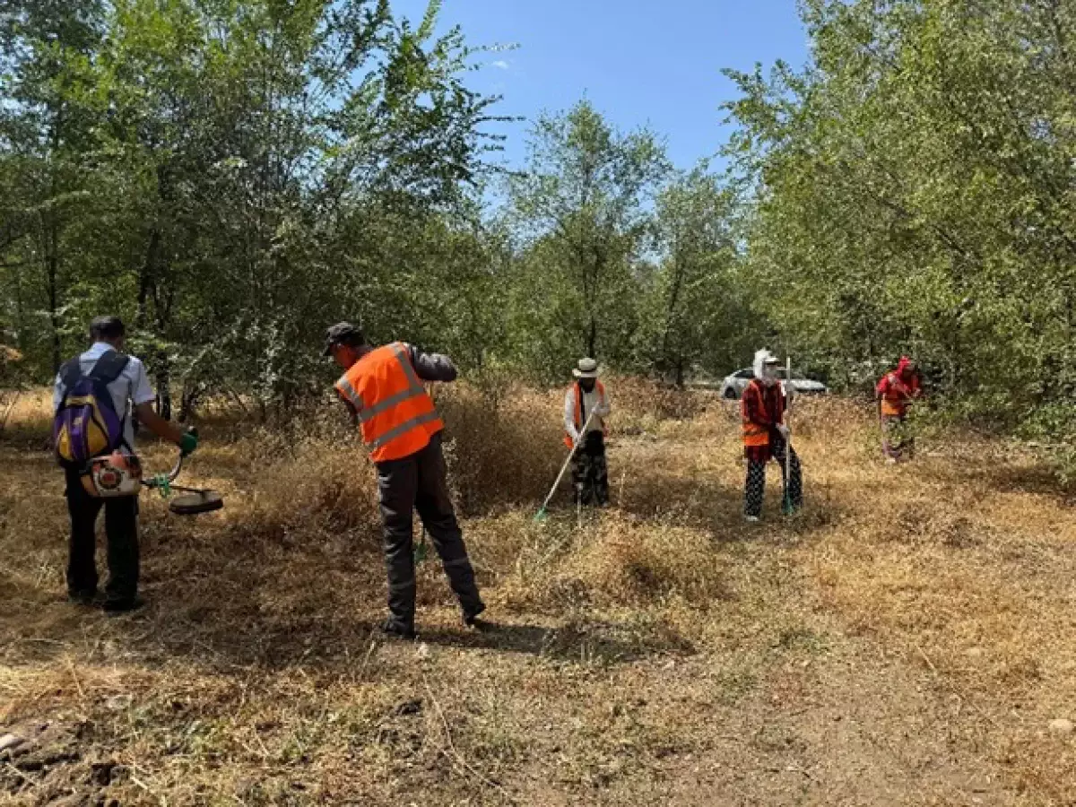 «Таза Қазақстан»: Алматы қаласының Жетісу ауданында 6 мың ш.м. астам қоқыс жиналды