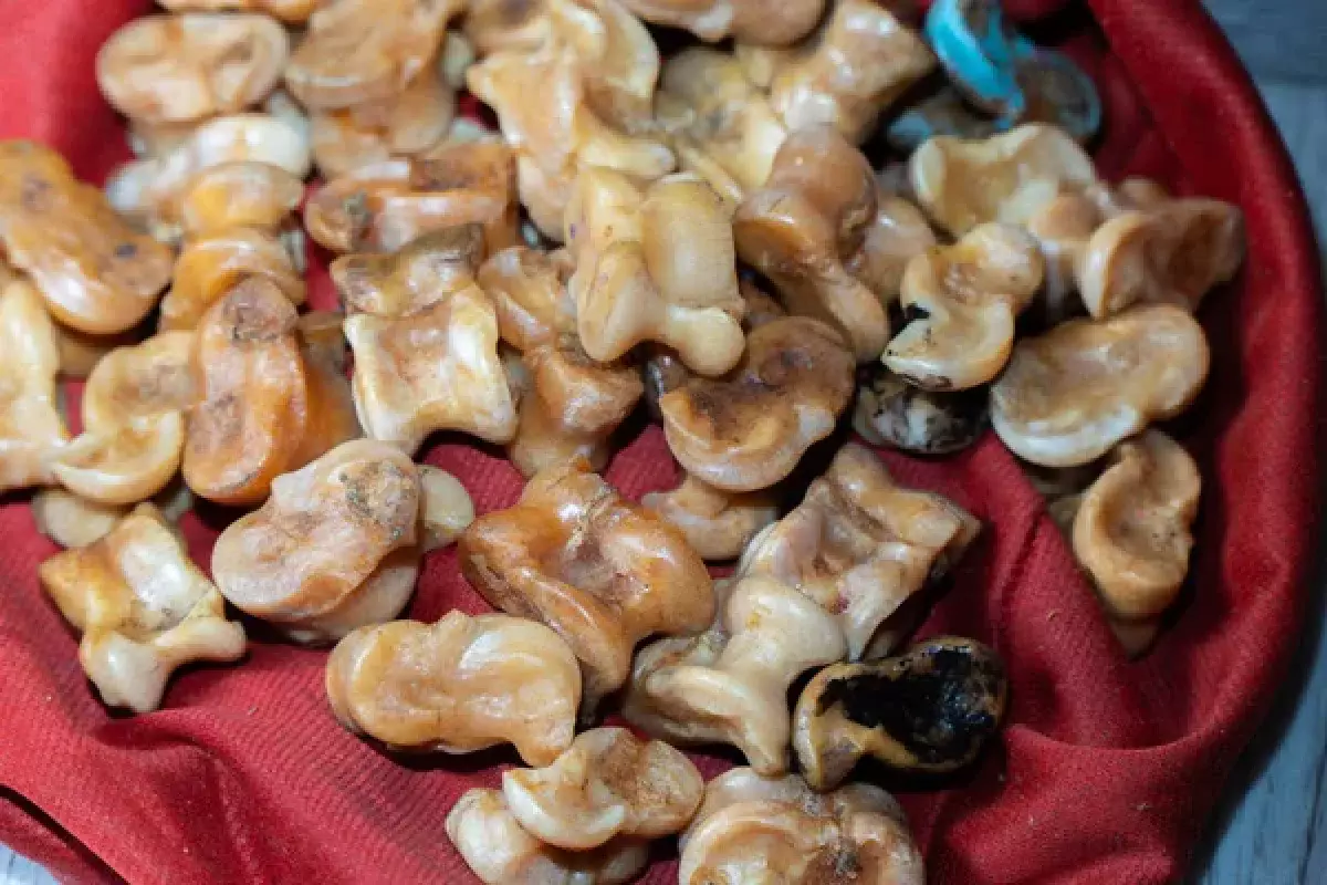 Необычная этно-инсталляция: школьники собрали юрту из 4 тысяч асыков