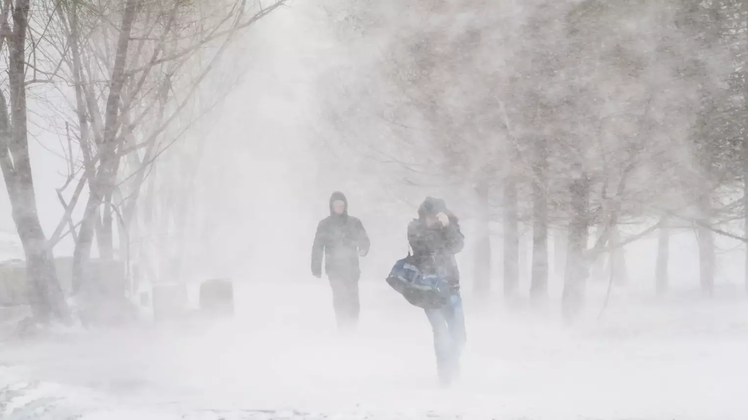 Синоптиктер алдағы үш тәулікке арналған ауа райы болжамын ұсынды