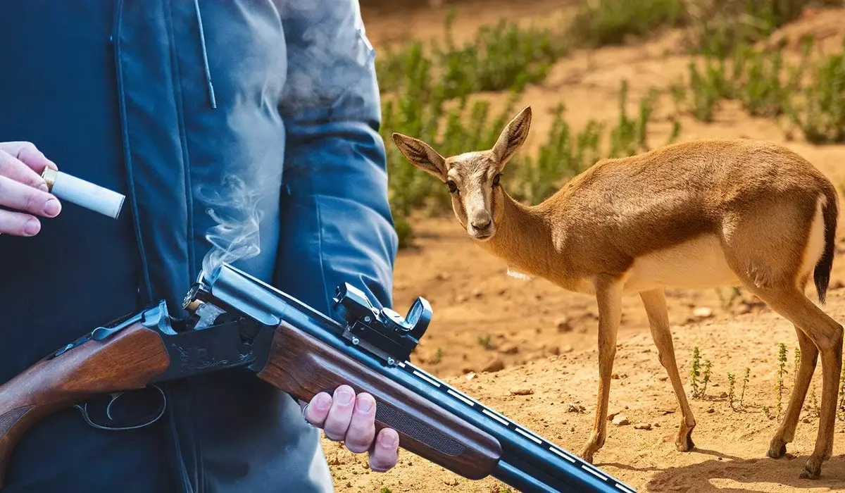 Алматы облысында Қызыл кітапқа енген қарақұйрықты атып тастаған үш адам сотталып кетті