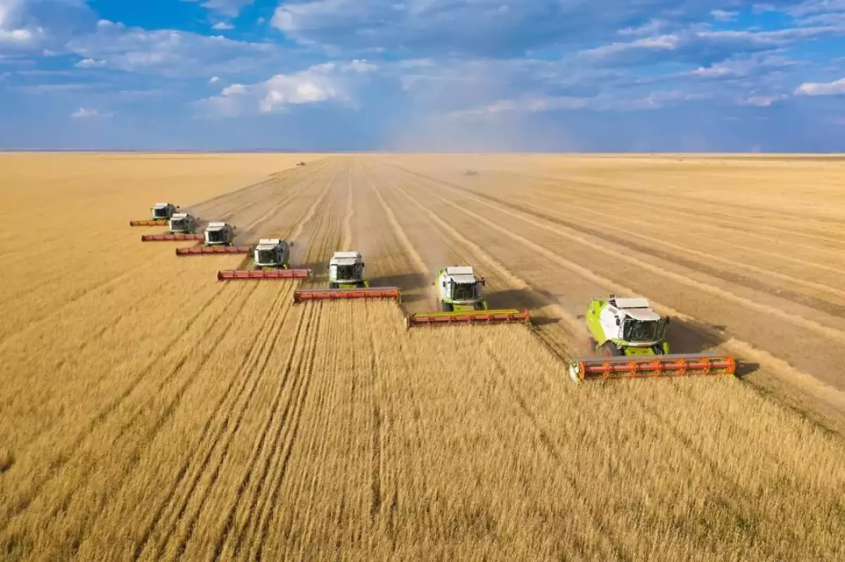 Аграрии Акмолинской области экспортировали за рубеж более 3 млн тонн зерна