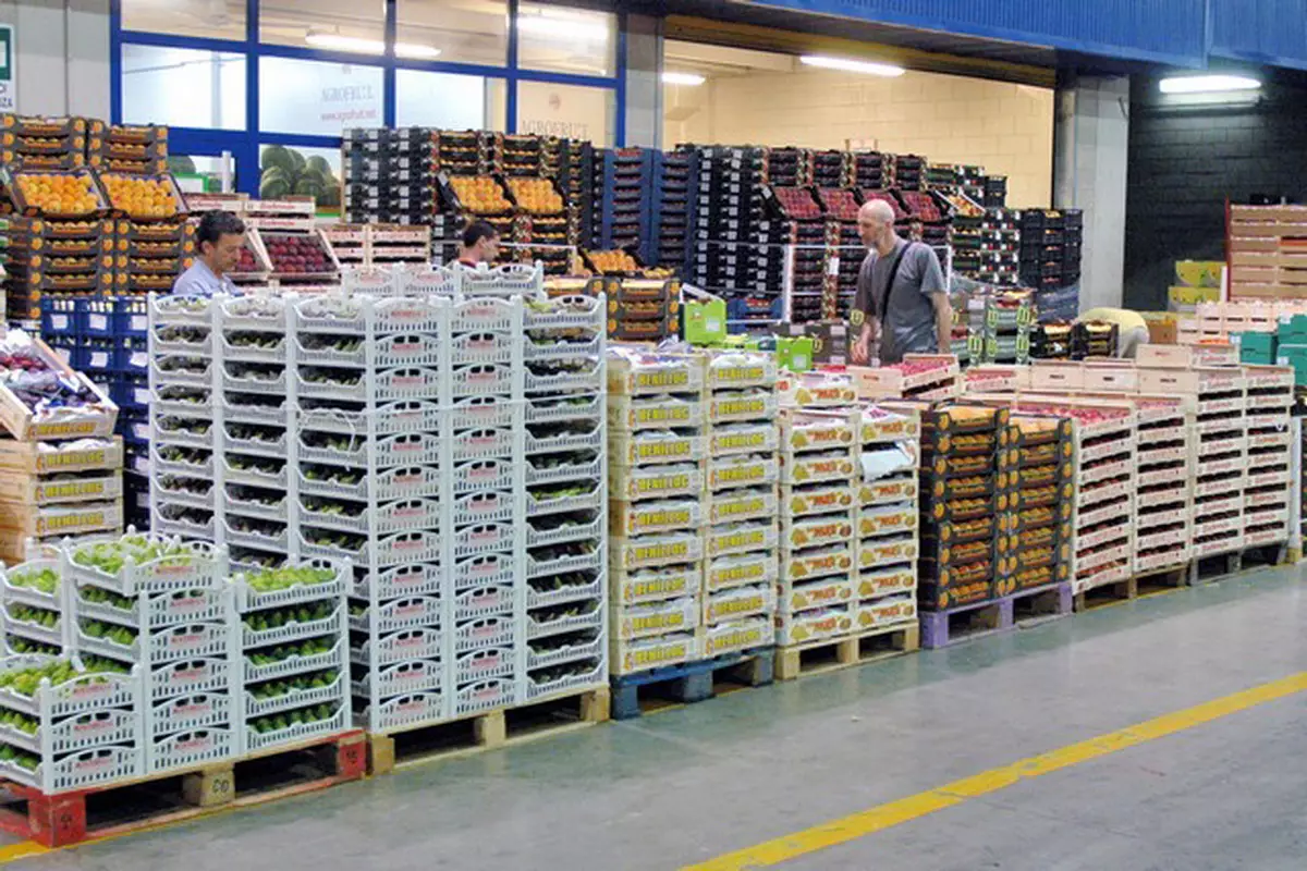 Казахстан приведет экспорт фруктов и овощей в соответствие со стандартами качества ОЭСР.