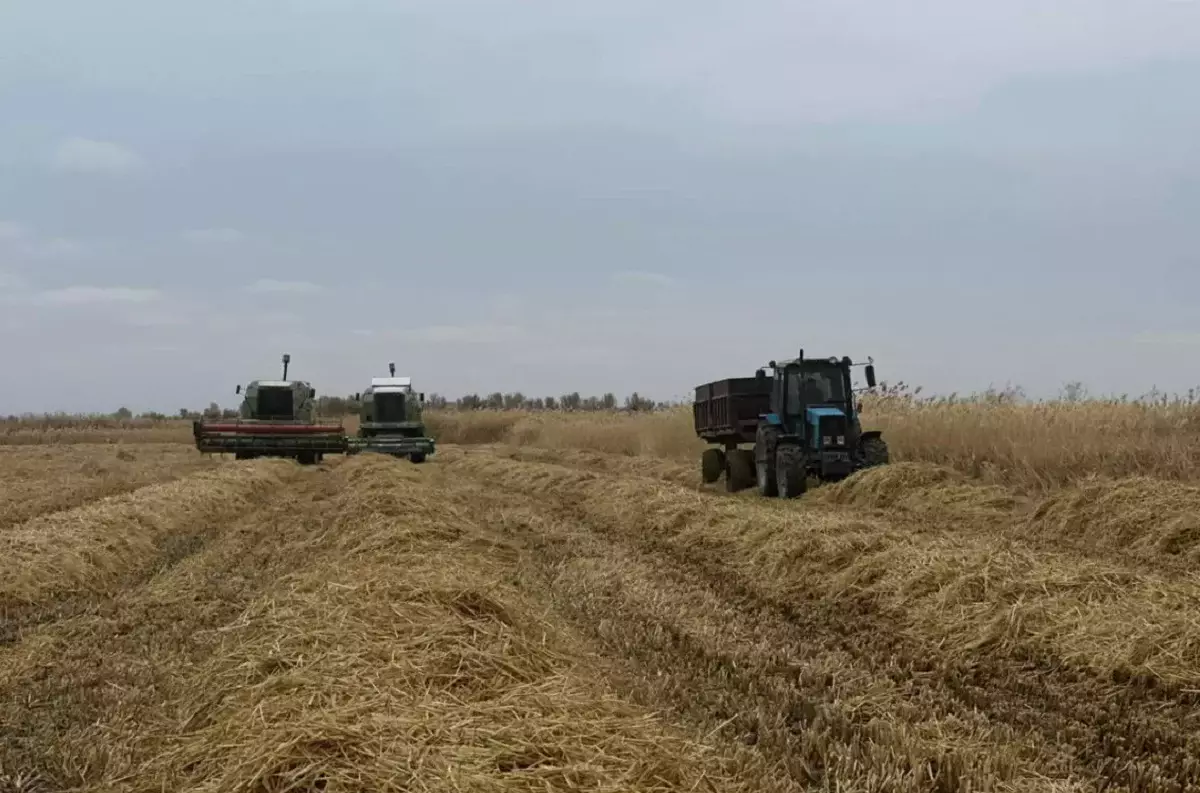 Балқаш ауданында 26 млн теңгелік инвестициялық жоба жүзеге асуда