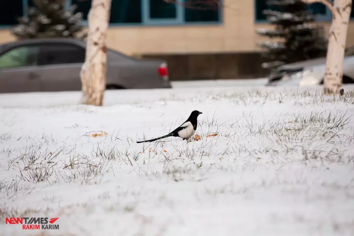 Прогноз погоды в Казахстане на 12 ноября