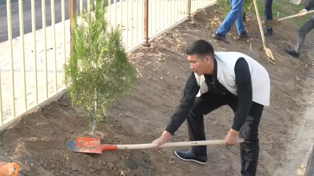 Түркістан облысы күзгі ағаш егу науқаны жүріп жатыр