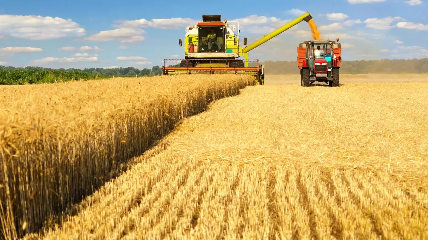 Цифрлы жүйе Алматы егіншілігіне серпін бермек