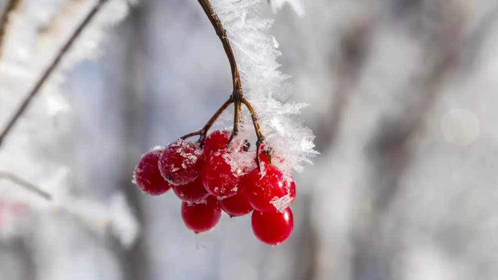 Қазақстанда -20 градусқа дейін аяз түседі