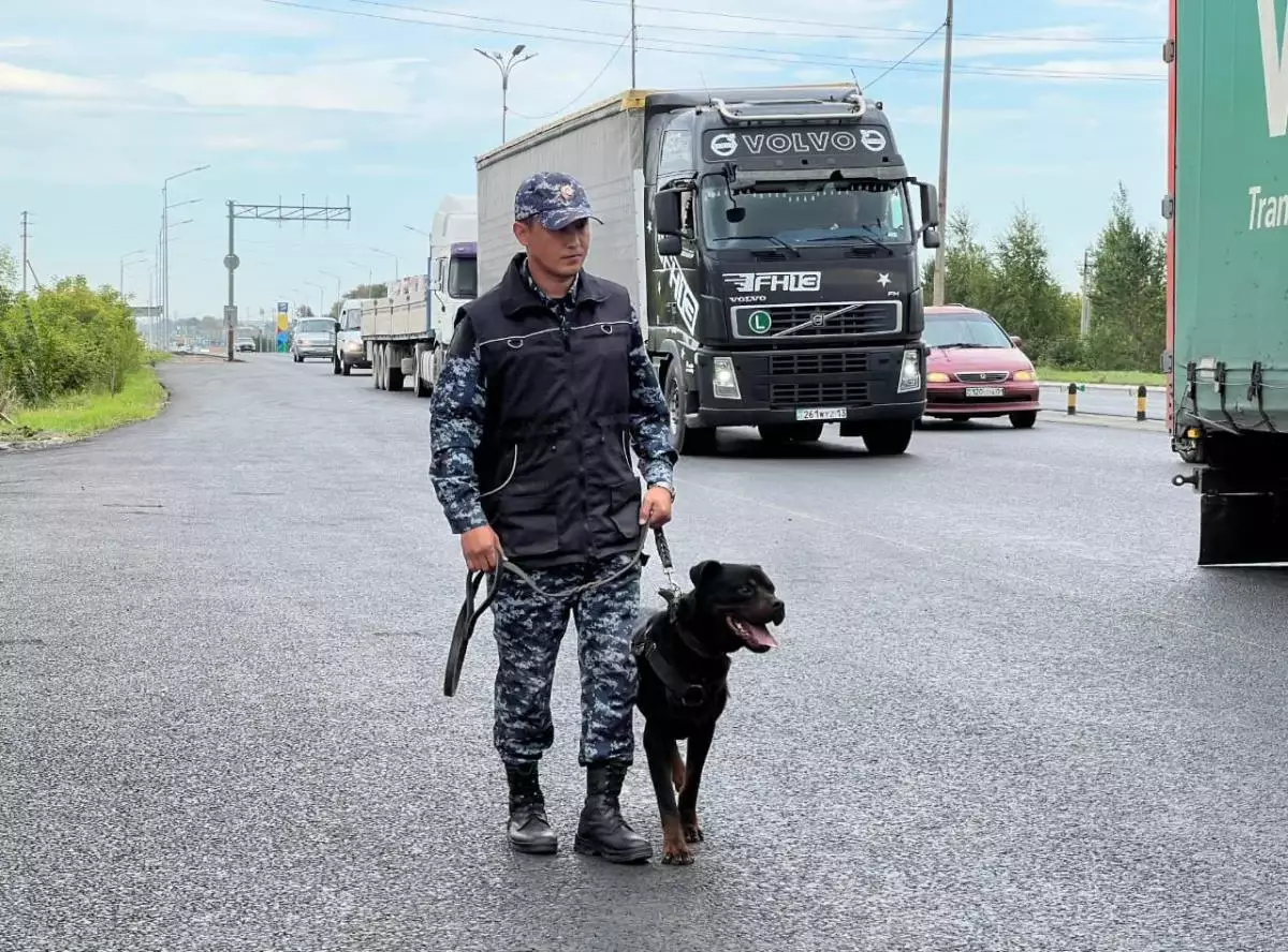 Четвероногий помощник: как собака раскрыла преступление за считанные минуты