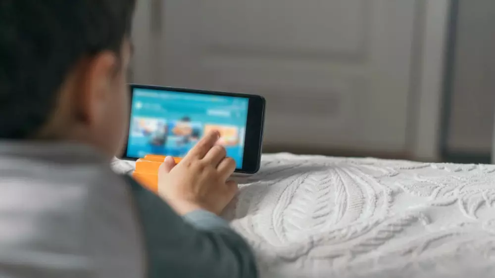 Қазақстанда балалардың TikTok пен Instagram-ға кіруіне жас шектеуін енгізу ұсынылды