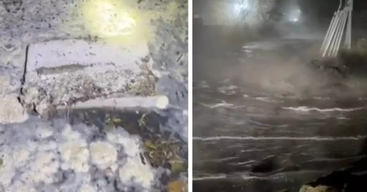  Қостанайда саяжайлар суға кетті: Нәжіс аралас су ауланы басып қалды (видео) 