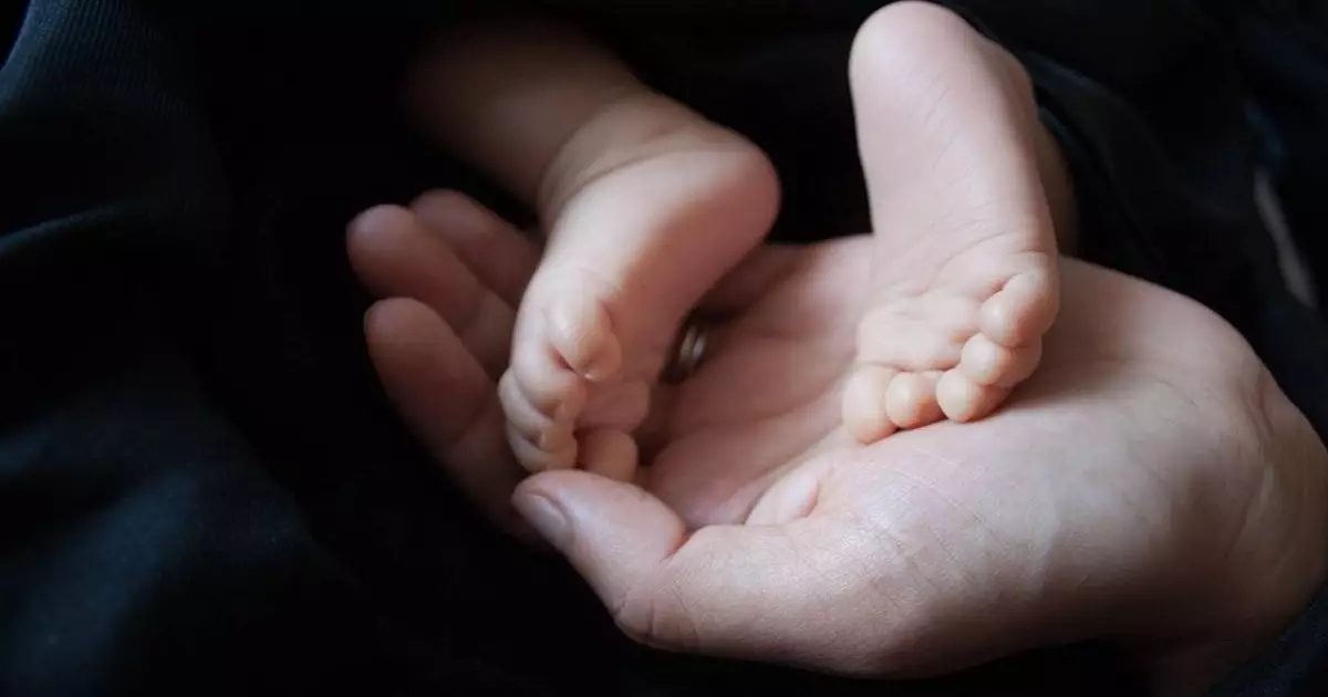  Статистика сөйлейді: Туу көрсеткіші мен балалардың өсу қарқыны қандай? 